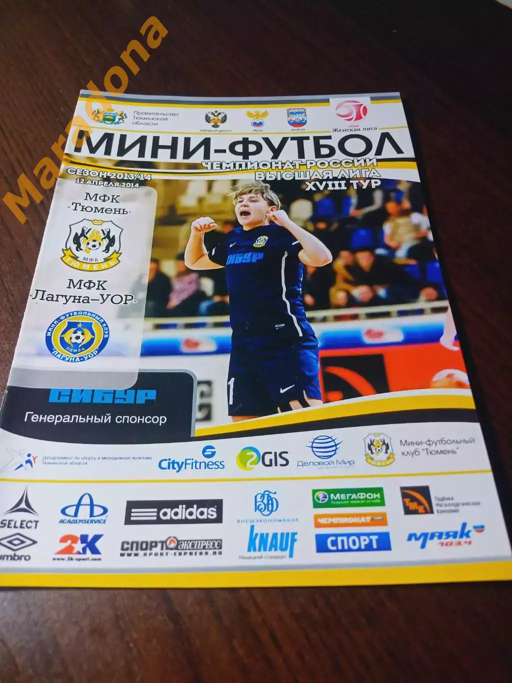 _ Тюмень - Лагуна-УОР Пенза 2013/2014 женщины