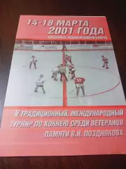 _ турнир Позднякова 2001 Хабар Комсомольск Чита Москва Казань Ангарск Новоси КНР