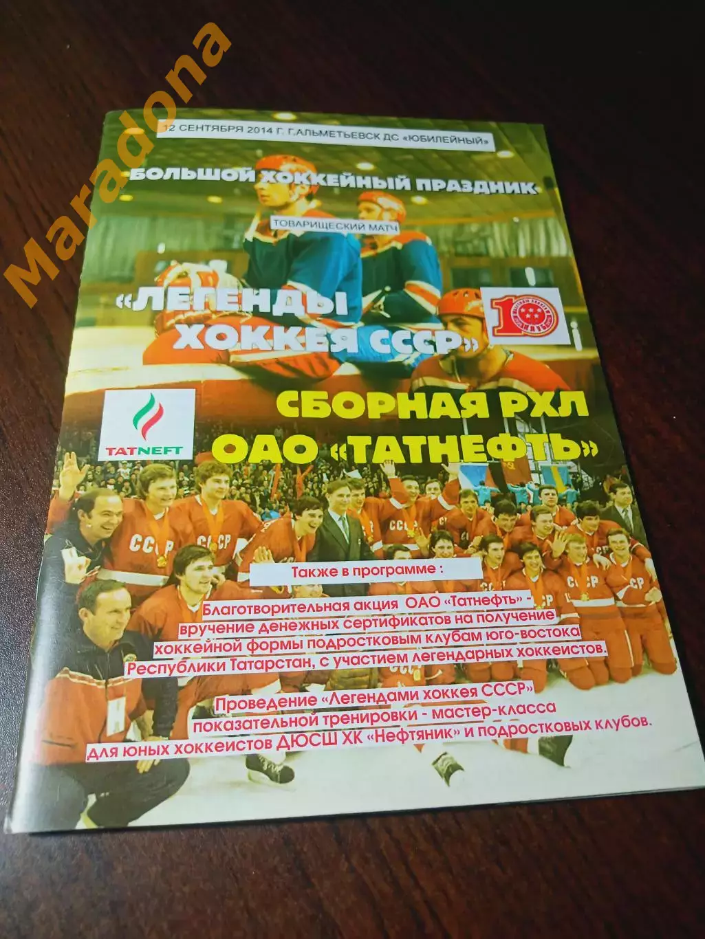 _ Легенды хоккея СССР - Татнефть 2014 Альметьевск