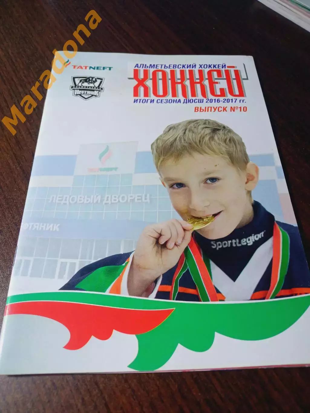 _ Альметьевский хоккей 2016/2017