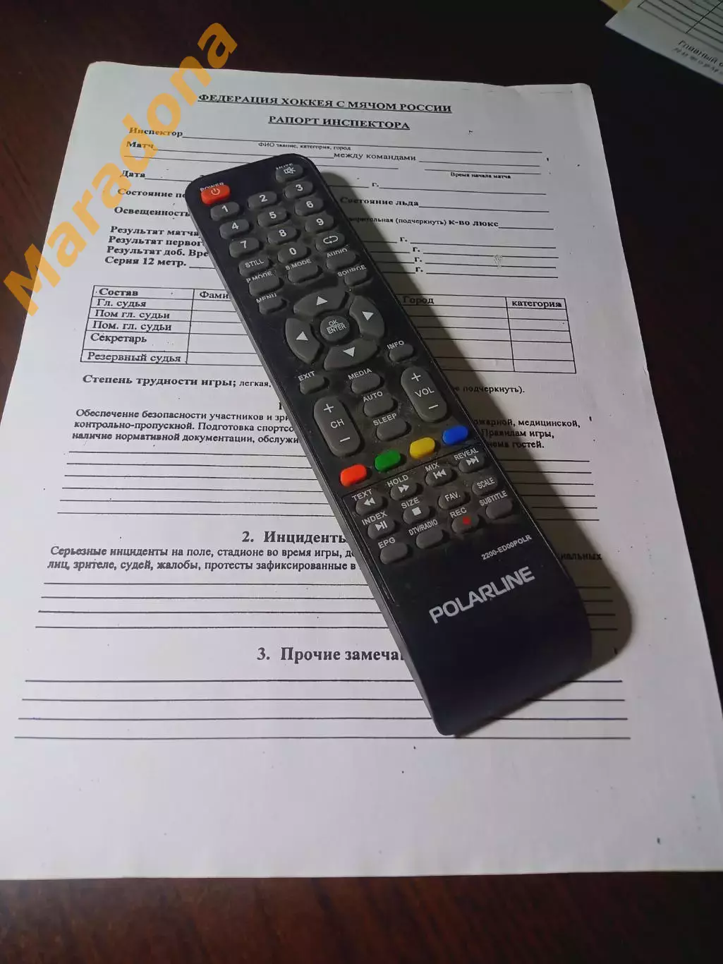 _ хоккей с мячом Рапорт инспектора матча ФХР
