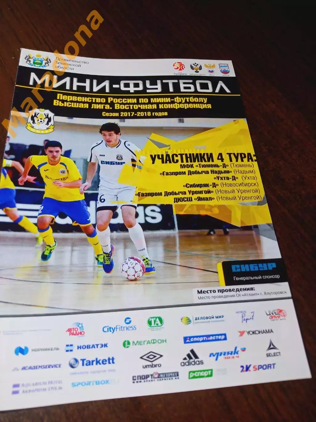 _ ВЛ 4 тур Тюмень 2017/2018 Ялуторовск Уренгой Ухта Новосибирск Надым