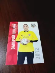 _ Валерий Шпаков Арбитраж Курган 2012 мини-футбол