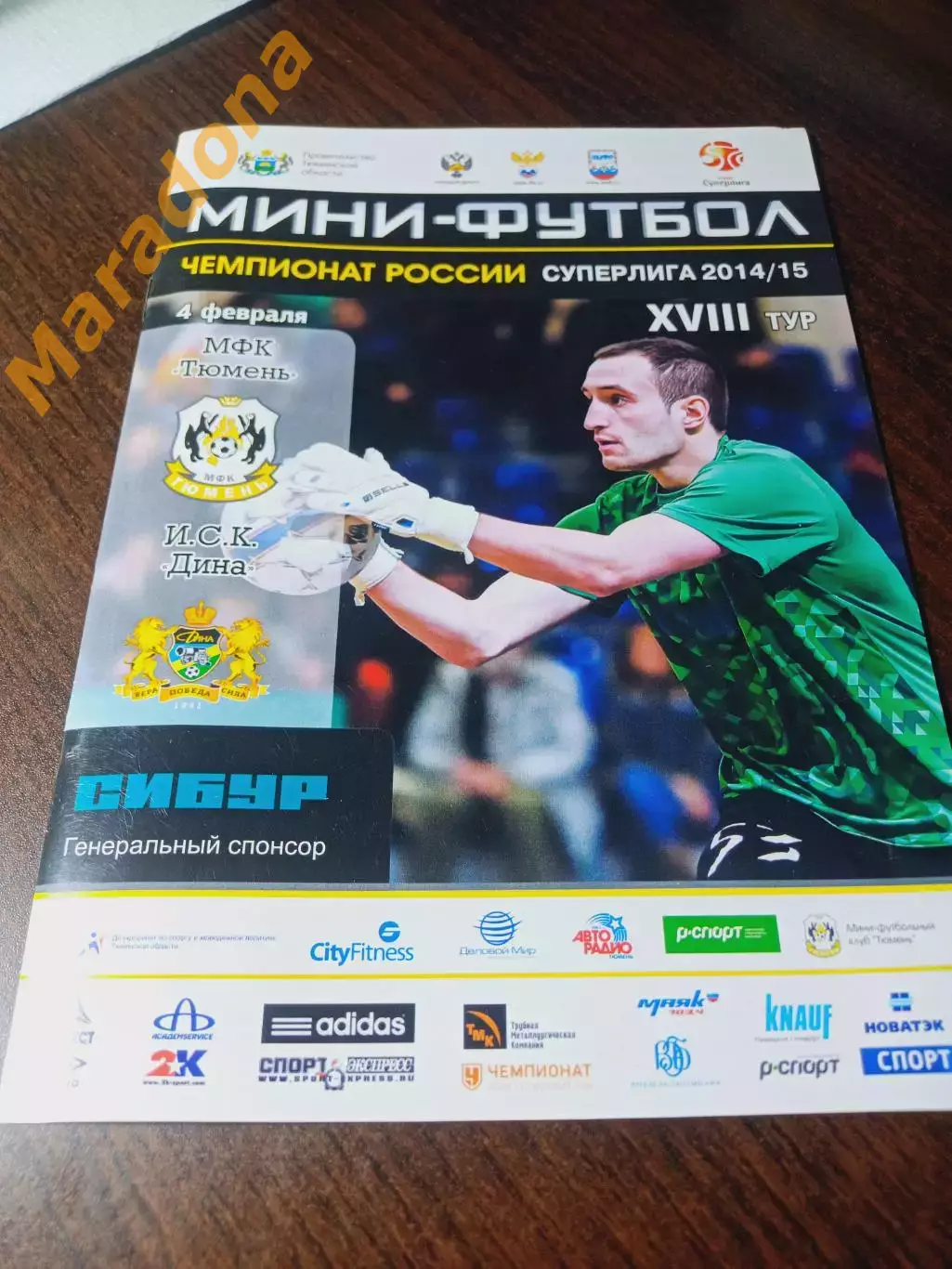 _ Тюмень - Дина Москва 2014/2015