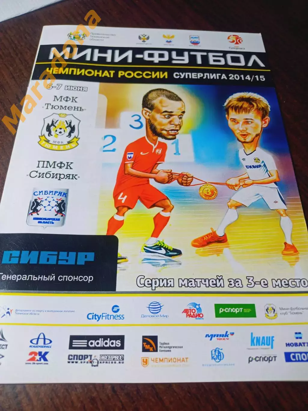 _ Тюмень - Сибиряк Новосибирск 2014/2015 Плей-офф