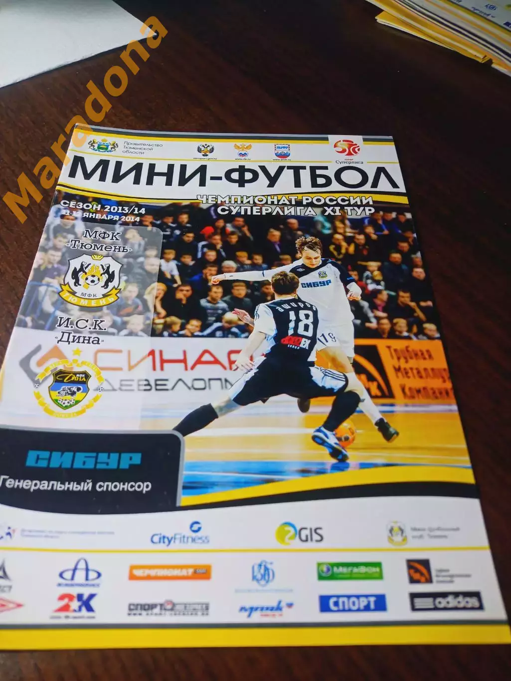 _ Тюмень - Дина Москва 2013/2014