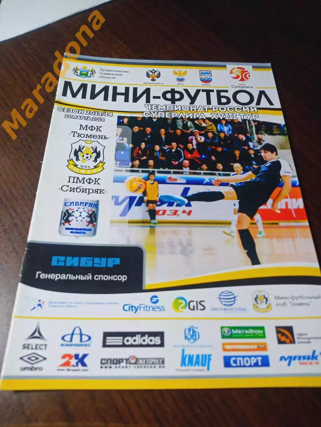 _ Тюмень - Сибиряк Новосибирск 2013/2014