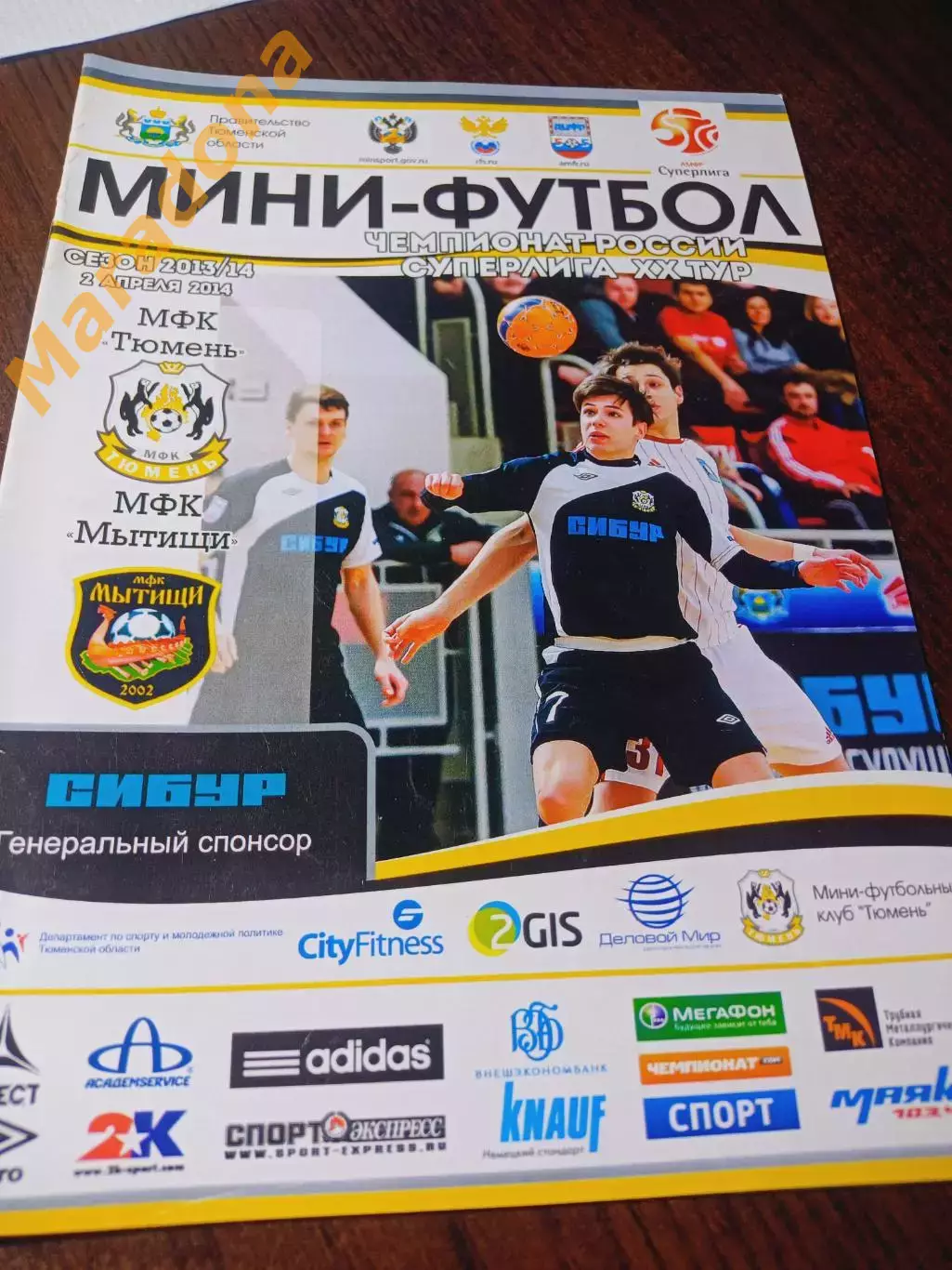 _ Тюмень - Мытищи 2013/2014