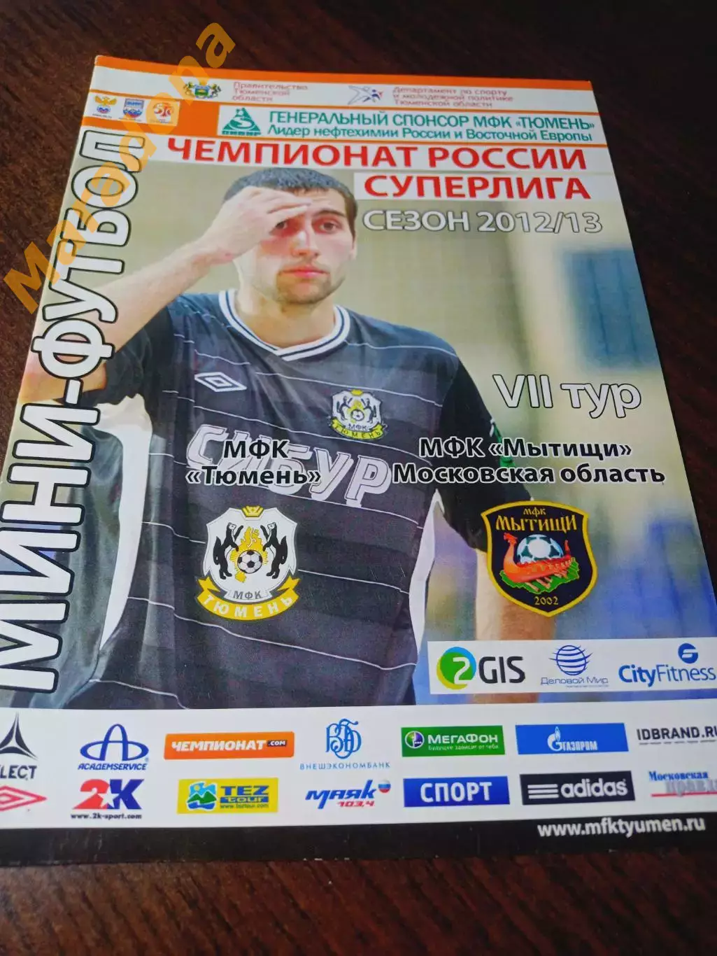 _ Тюмень - Мытищи 2012/2013