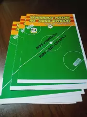 _ Тюмень - ВИЗ-Синара Екатеринбург 2006/2007
