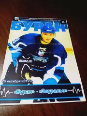 _ Буран Воронеж - Зауралье Курган 2012/2013