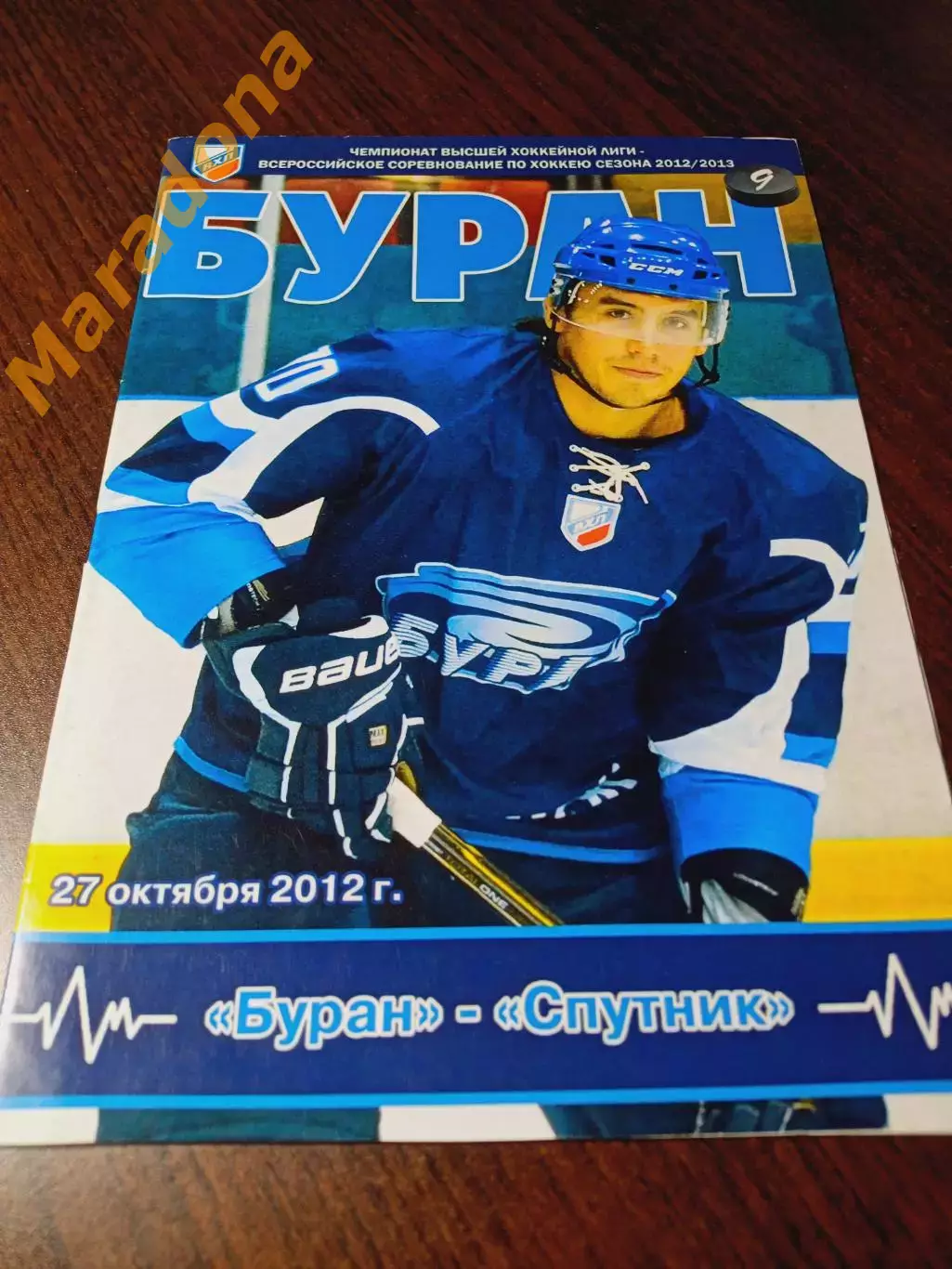 _ Буран Воронеж - Спутник Нижний Тагил 2012/2013