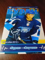_ Буран Воронеж - Спутник Нижний Тагил 2012/2013