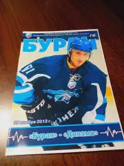 _ Буран Воронеж - Динамо Балашиха 2012/2013