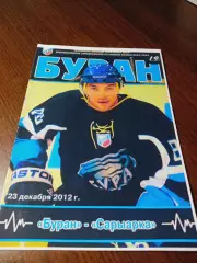 _ Буран Воронеж - Сарыарка Караганда Казахстан 2012/2013