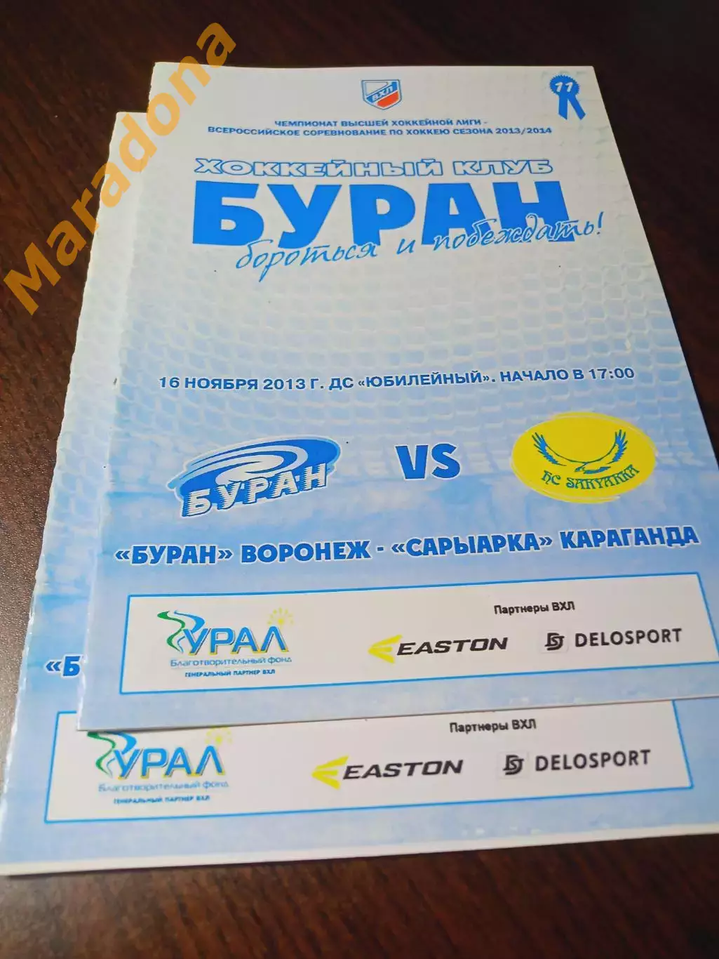 _ Буран Воронеж - Сарыарка Караганда Казахстан 2013/2014