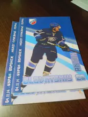 _ Буран Воронеж - Молот Пермь 2014/2015