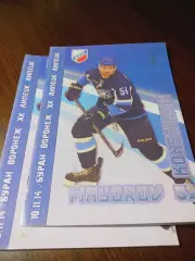 _ Буран Воронеж - Липецк 2014/2015