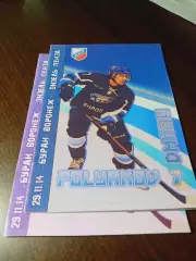 _ Буран Воронеж - Дизель Пенза 2014/2015
