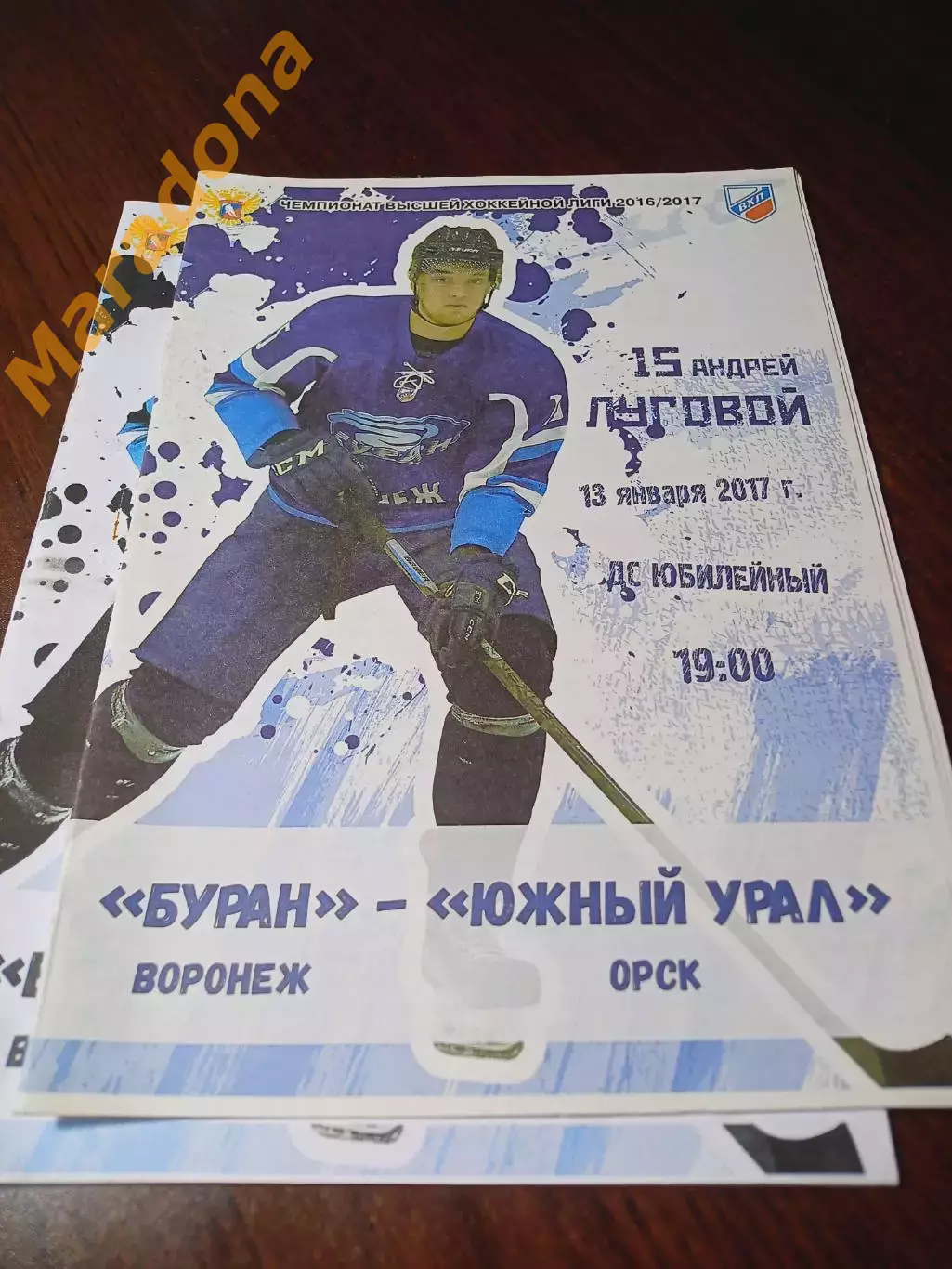 _ Буран Воронеж - Южный Урал Орск 2016/2017