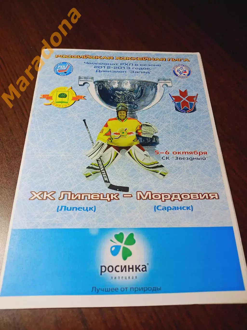 _ Липецк - Мордовия Саранск 2012/2013