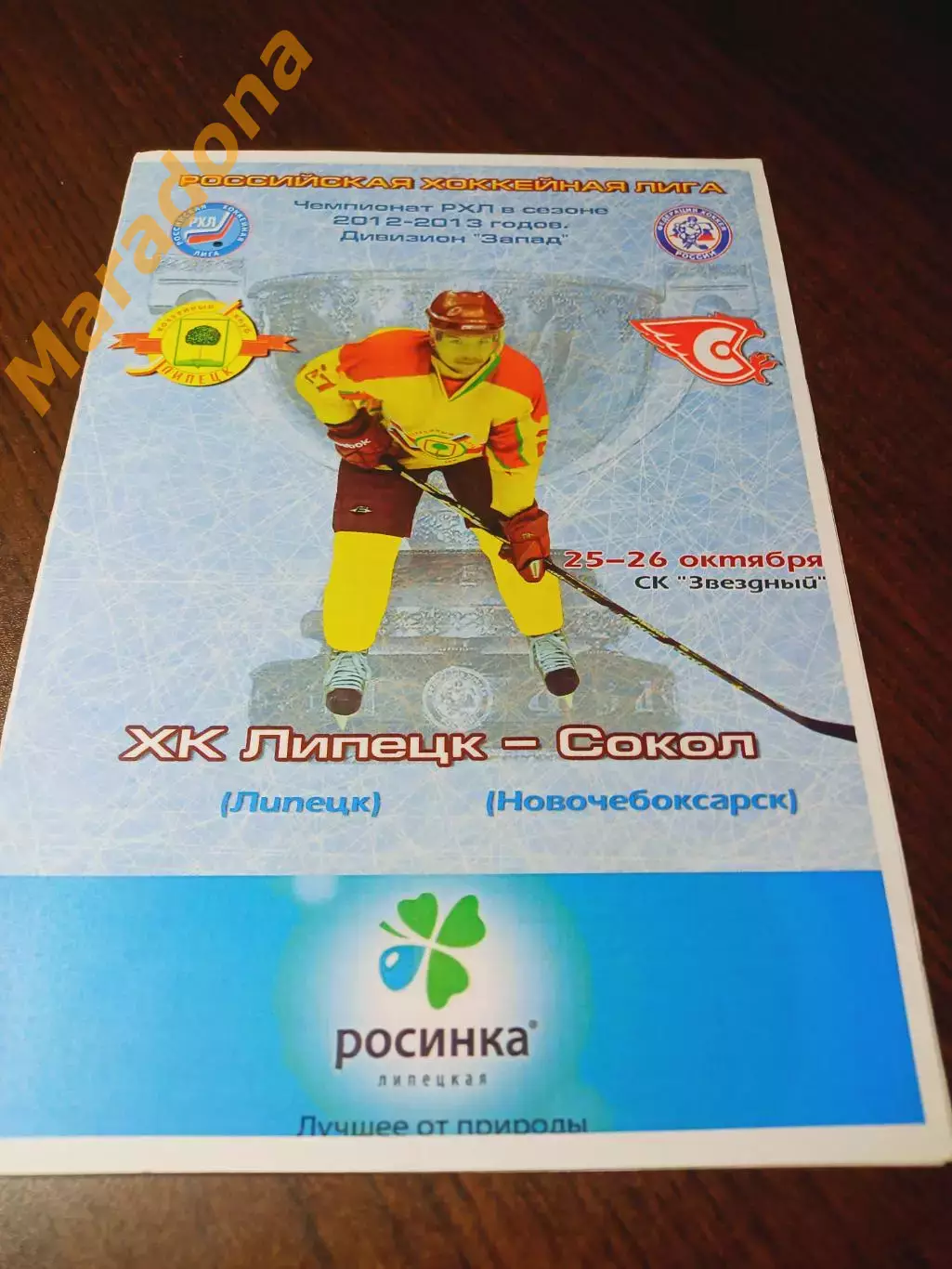 _ Липецк - Сокол Новочебоксарск 2012/2013