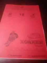 _ Ижсталь Ижевск - Мечел Челябинск 2011/2012