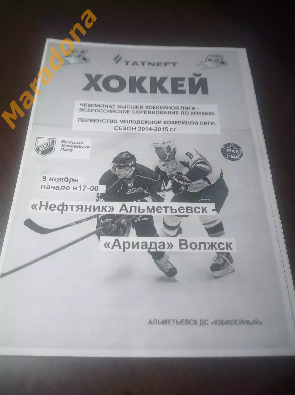 _ Нефтяник Альметьевск - Ариада Волжск 2014/2015