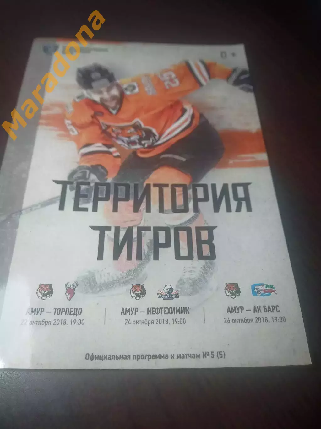 _ Амур Хабаровск - Торпедо Нижний Новгород+Нефтехимик+Ак Барс Казань 2018/2019