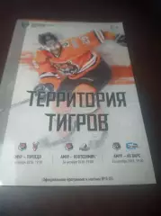 _ Амур Хабаровск - Торпедо Нижний Новгород+Нефтехимик+Ак Барс Казань 2018/2019
