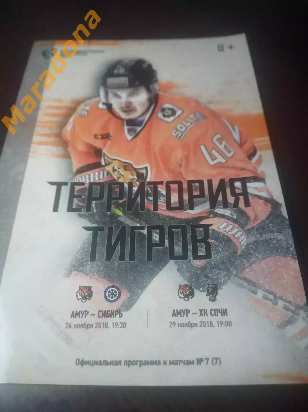 _ Амур Хабаровск - Сибирь Новосибирск + Сочи 2018/2019