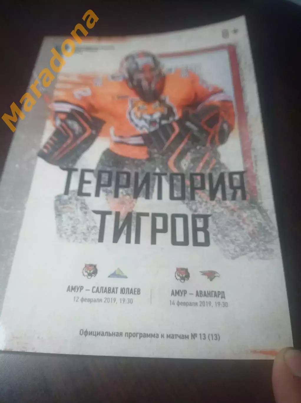 _ Амур Хабаровск - Авангард Омск + Салават Юлаев Уфа 2018/2019
