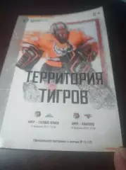 _ Амур Хабаровск - Авангард Омск +;Салават Юлаев Уфа 2018/2019