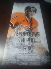 _ Амурские Тигры Хабаровск - СКА 1946 Санкт-Петербург 2019/2020