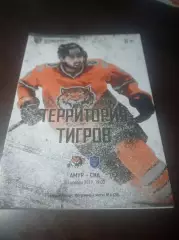 _ Амур Хабаровск - СКА Санкт-Петербург 2019/2020