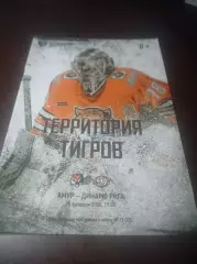 _ Амур Хабаровск - Динамо Рига 2019/2020