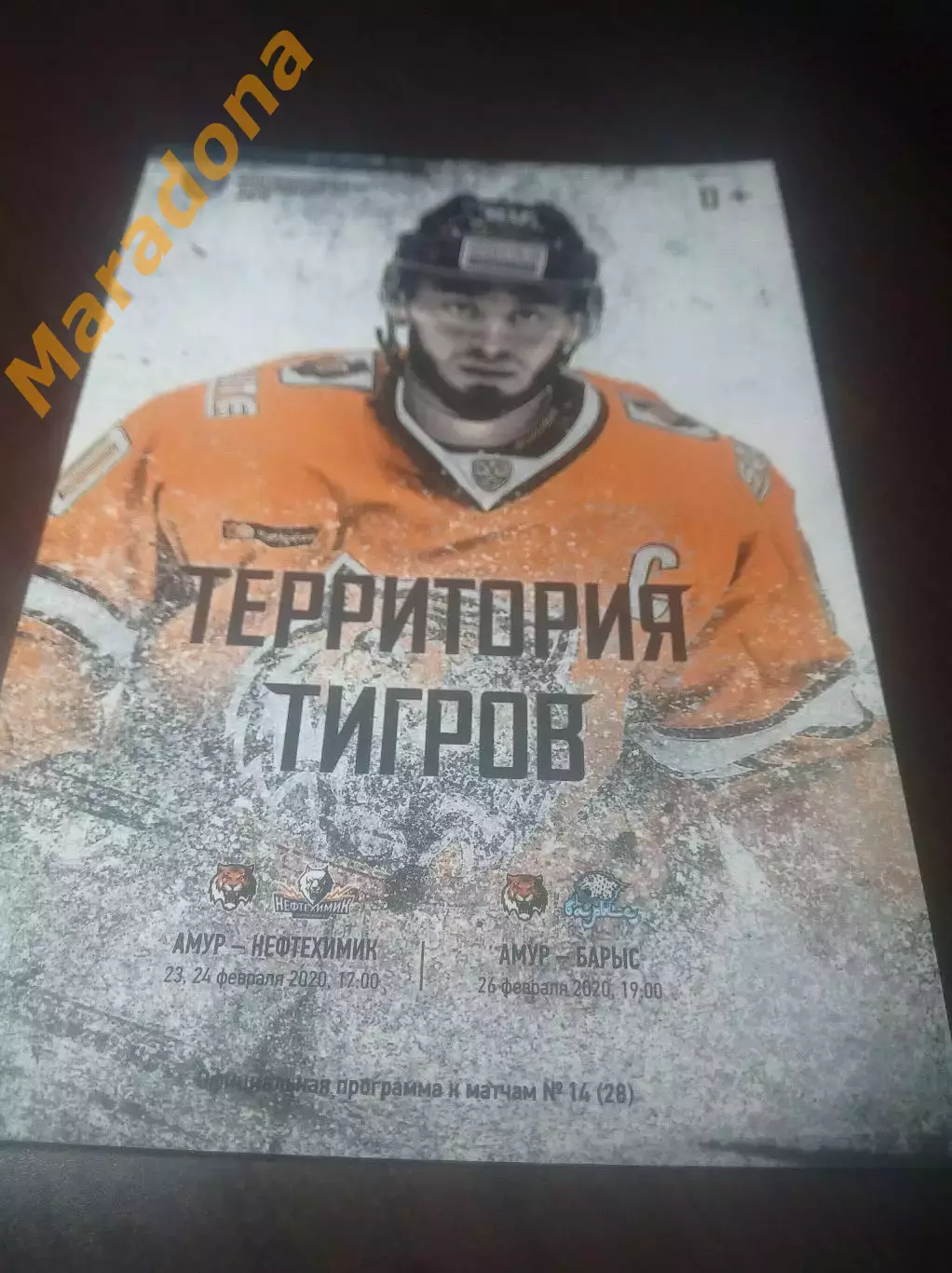 _ Амур Хабаровск - Нефтехимик Нижнекамск + Барыс Нур-Султан Казахстан 2019/2020