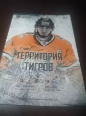 _ Амур Хабаровск - Нефтехимик Нижнекамск + Барыс Нур-Султан Казахстан 2019/2020