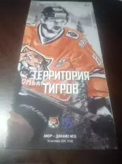 _ Амур Хабаровск - Динамо Москва 2020/2021