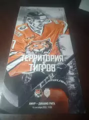 _ Амур Хабаровск - Динамо Рига 2020/2021