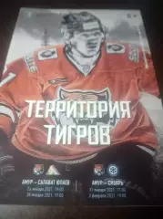 _ Амур Хабаровск - Сибирь Новосибирск +;Салават Юлаев Уфа 2020/2021