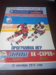 _ Юниор Курган - Саров/Нижний Новгород 2013/2014