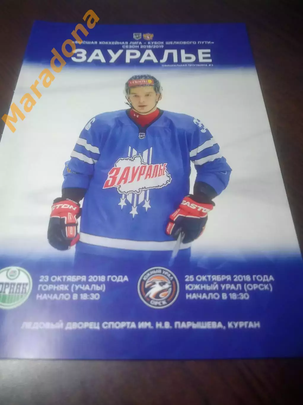 _ Зауралье Курган - Горняк Учалы + Южный Урал Орск 2018/2019