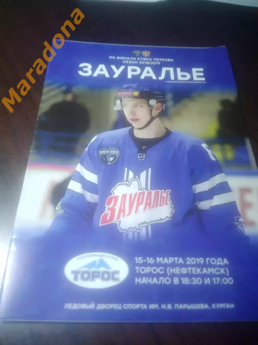 _ Зауралье Курган - Торос Нефтекамск 2018/2019 Плей-офф