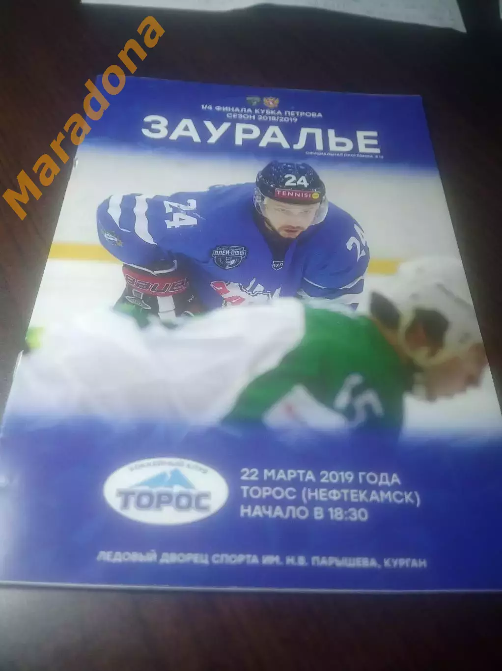 _ Зауралье Курган - Торос Нефтекамск 2018/2019 Плей-офф