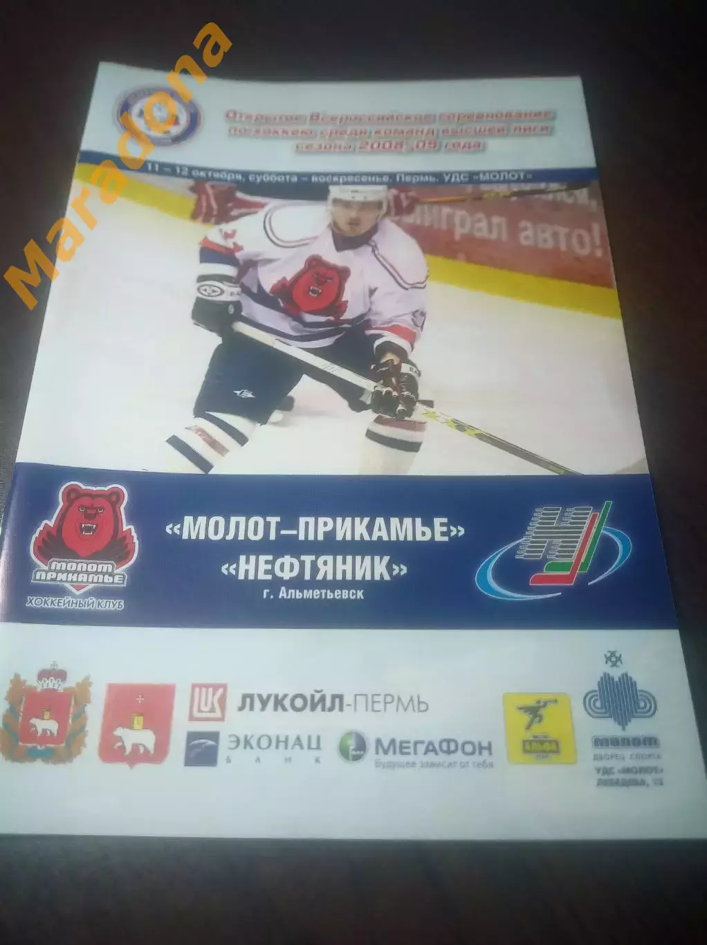 _ Молот Прикамье Пермь - Нефтяник Альметьевск 2008/2009
