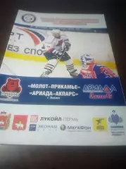 _ Молот Прикамье Пермь - Ариада Акпарс Волжск 2008/2009