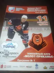 _ Молот Прикамье Пермь - Торос Нефтекамск 2010/2011