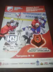 _ Молот Прикамье Пермь - Южный Урал Орск 2010/2011