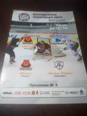 _ Молот Пермь - Ладья Тольятти + Белые тигры Оренбург 2013/2014
